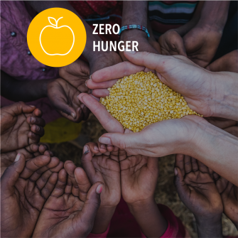 SDG Zero hunger