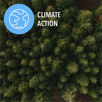 SDG Climate action