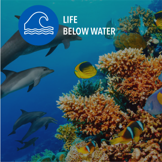 SDG Life below water