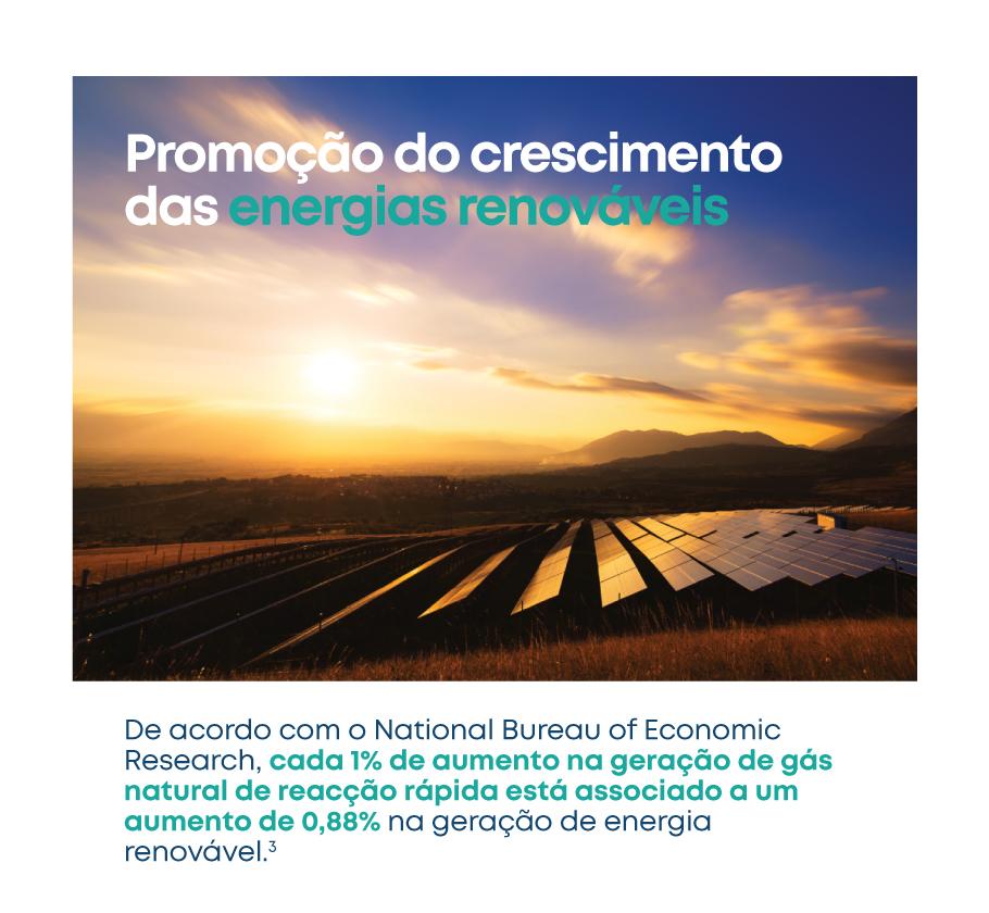 LNG-Renewables_PortEU