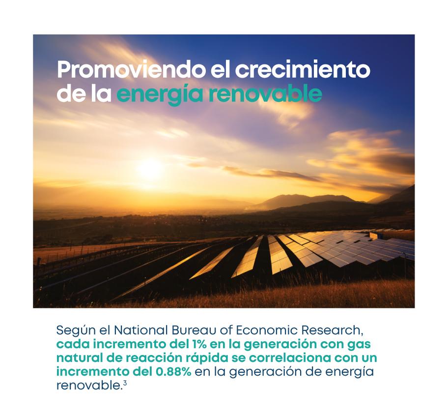 LNG-Renewables_SpanishGeneral