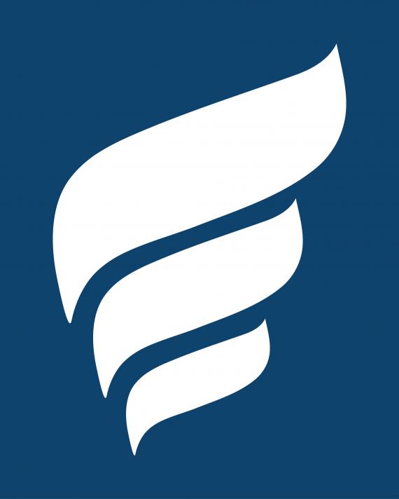 新堡垒能源（NFE）财报后及信用违约后的短期前景分析